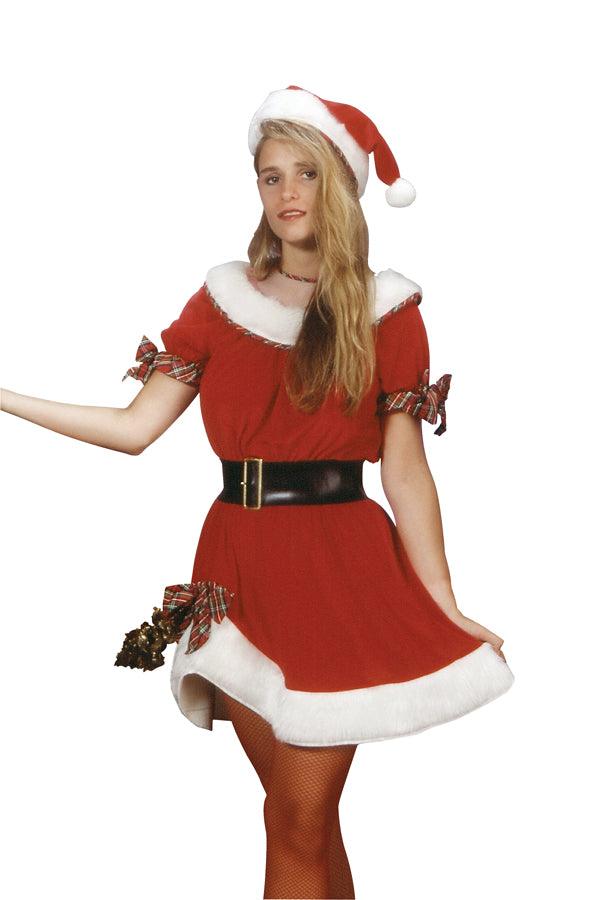 Adult Miss Santa Dress - McCabe's Costumes